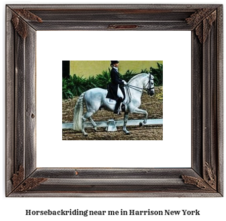 horseback riding near me in Harrison, New York